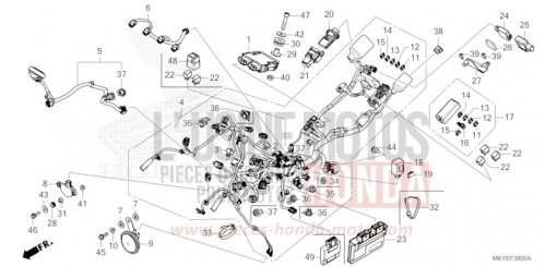 FAISCEAU DES FILS CB650RAR de 2024